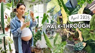 Walkthrough My HOUSEPLANT Collection 🌿 Changes + Realistic Updates