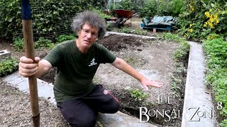 Download Lagu Working On The Bonsai Glass Greenhouse, The Bonsai Zone, Sept 2021 Thumbnail