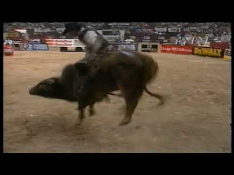 Lawman bucks Dave Samsel - 99 PBR Finals