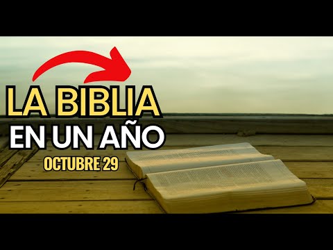 Siguiendo a Jesús a través de la Biblia Católica en un año | Día 302