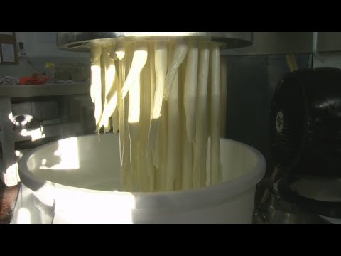 Making string cheese at Union Star