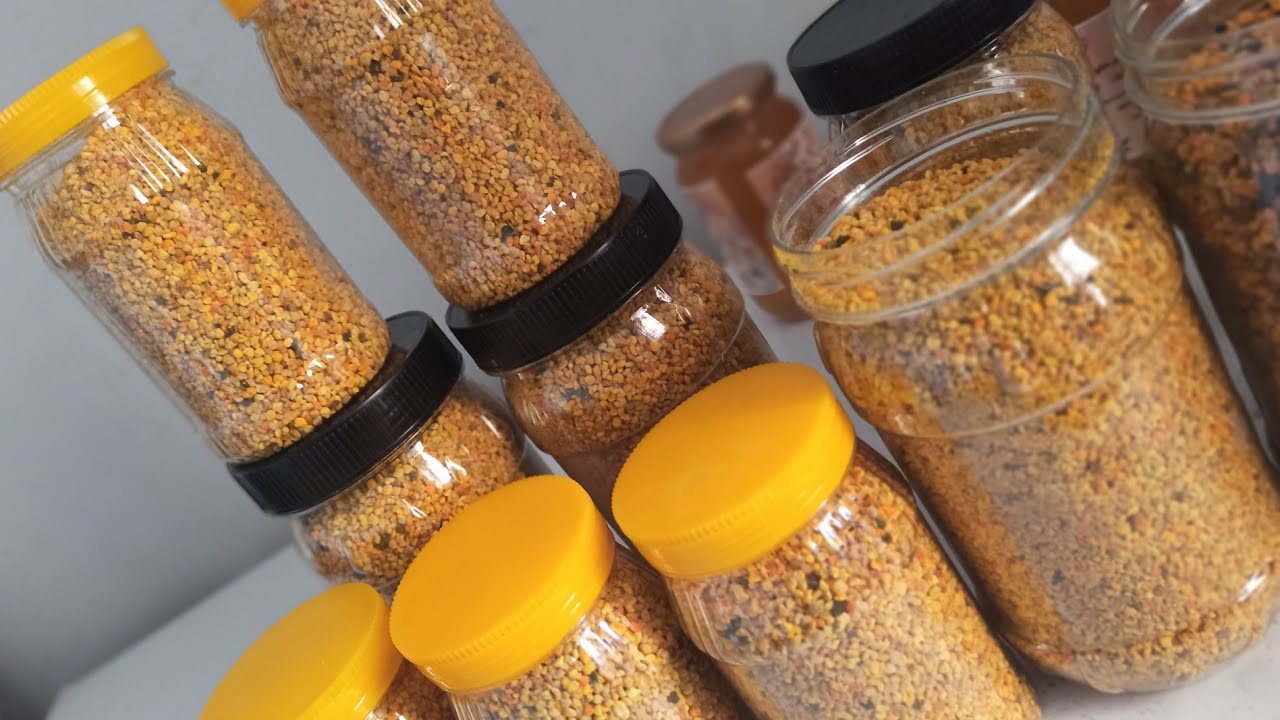 حبوب اللقاح للبيع فوائد حبوب اللقاح و القيمة الغذائية 