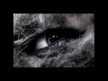A very nerdy homemade horrormovie! Music: Wolf Wild #2 by Danny Elfman.