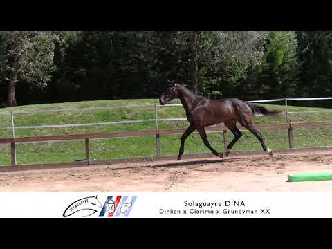 SOLAGUAYRE DINA  - VENTA ONLINE - OCTUBRE 2021