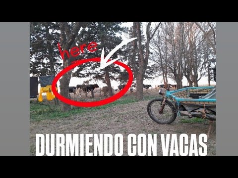 LA ENSENADA CÓRDOBA 