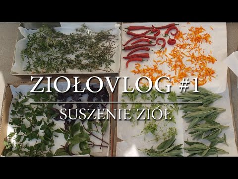 Skuteczne leczenie impotencji Zaparcia i potencji