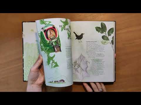 Handboek voor Vlinderfans