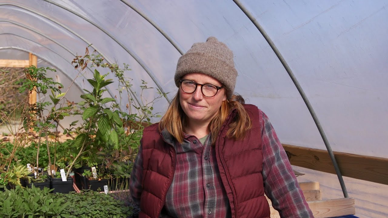 Customizable CSA with Harvie | Urban Teaching Farm