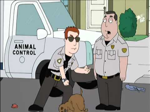 Quand les expert Miami s'invitent chez American Dad