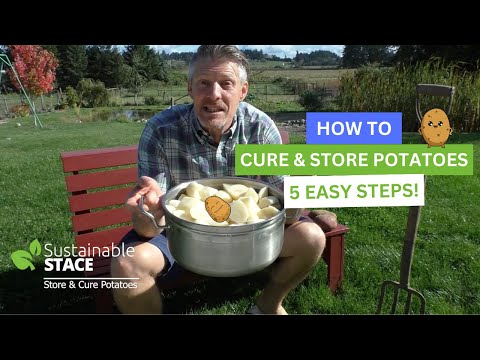 , title : 'How To Cure & Store Potatoes - 5 EASY STEPS!'