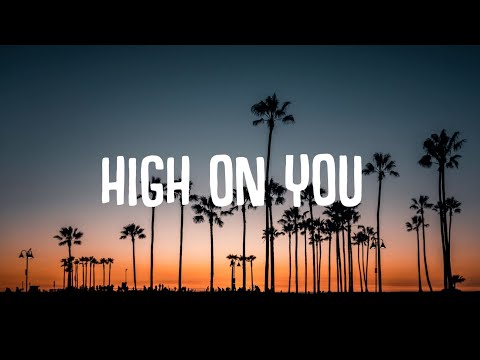 Sigma, John Newman - High On You (Lyrics)