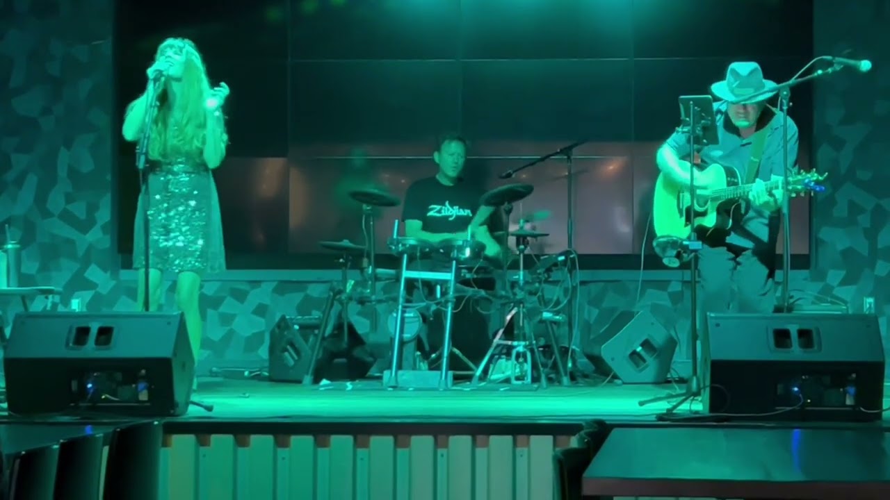 Promotional video thumbnail 2 for Stephanie Westdal Band