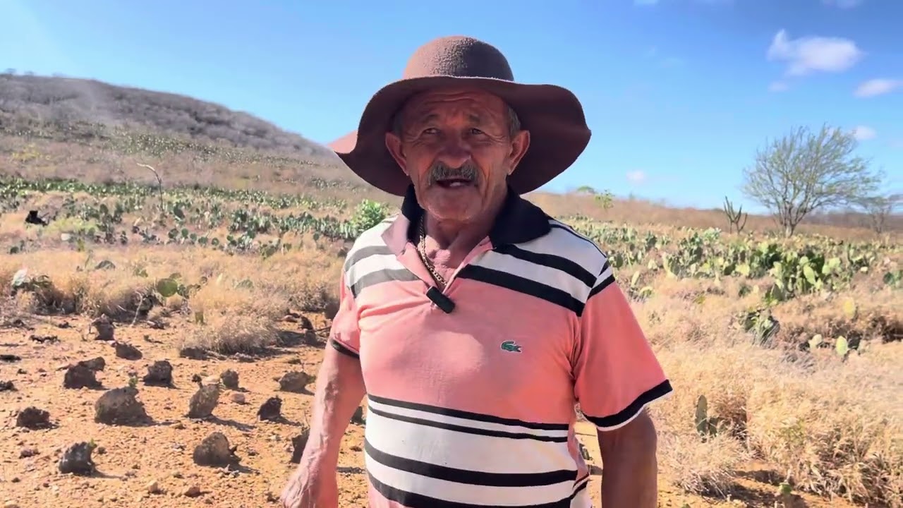 As cobras mais venenosas do sertão