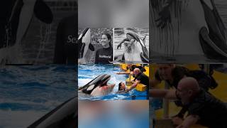 Download lagu Viral Jessica Dolphin Attack Video Real Or Fake😱 mp3