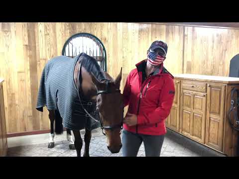 The Madden Method - fitting a bridle