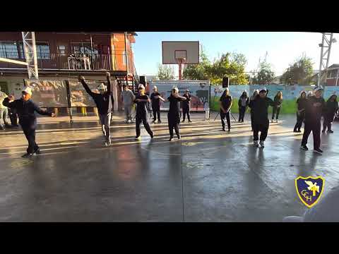 Video 11