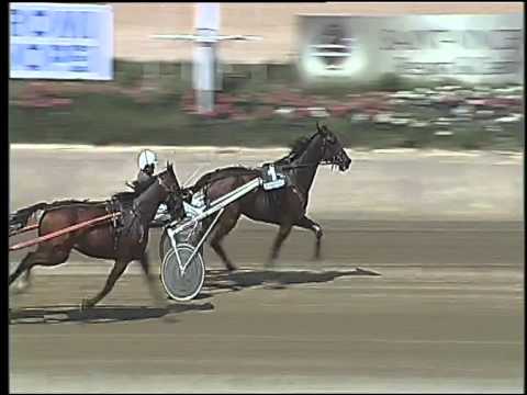 Trotto 25/08/2015 - 1° prova di riqualifica