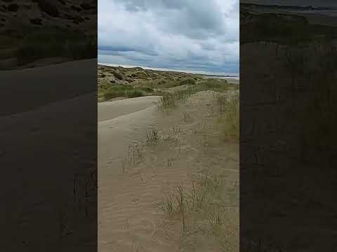 Dunas Parque Nacional Zuid-Kennemerland, Holanda #holanda #holland #netherlands #travel #viajes