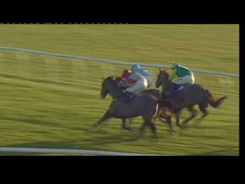 2009 totesport.com Peterborough Chase