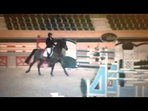 Lawito- magna racino 1.40