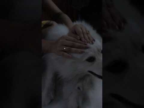 Cute Pratyusha & her Pet