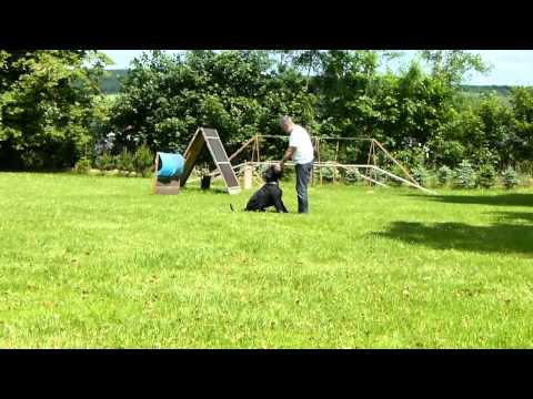 Dennis Bernsee & BODO v.Hexenwald