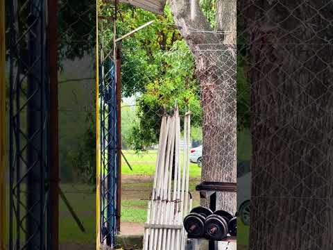 Bienvenidos al canal del Club Sportivo Isla Verde 🔵🟡