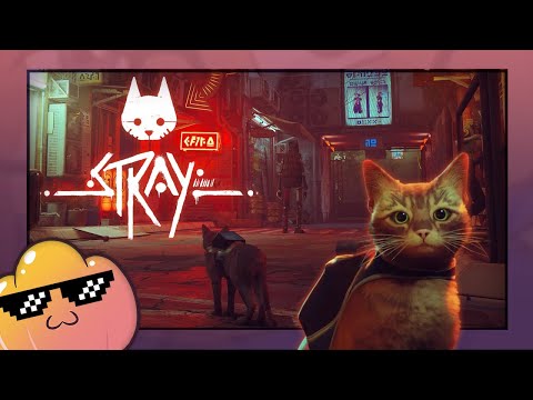 Jello Plays Stray! - Ep 1 - YouTube