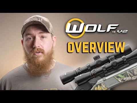 How Accurate these Guns Are