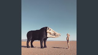 Unsweet Meat