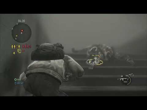 Mostly hair and bones now