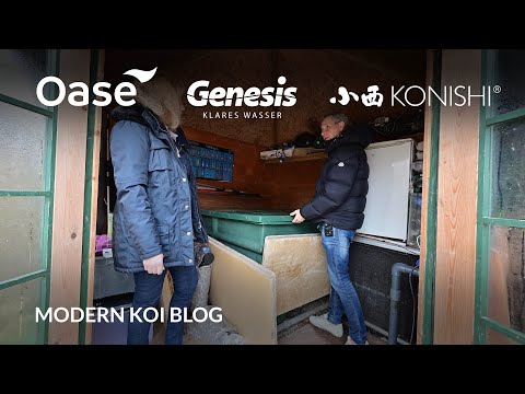 Modern Koi Blog #5834 - Bettinas klassischer und gepumpter Centervortex Mehrkammerfilter
