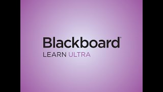 Blackboard Ultra is here at TAMIU!