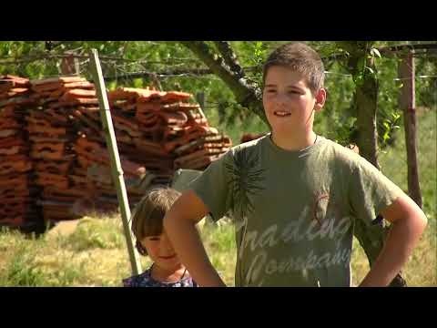 HRONIKA SBIZS 344: Težak život porodice Drača iz Šopota, sela nadomak Benkovca