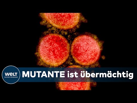 PESSIMISTISCHE PROGNOSE: Prof. Hesse - Dritte Corona-Welle wird hart | WELT Interview