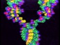 PBS WGBH NOVA Intro 1981