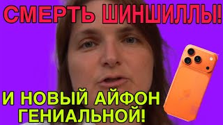 СМЕРТЬ ШИШШИЛЛЫ И АЙФОН. VREDINA LIFE. ОБЗОР. 