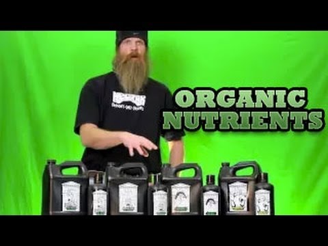 Nectar For the Gods Organic Nutrients |BASE LINE-VIDEO| Gia- Medusas Magic Herculean Harvest Zeus
