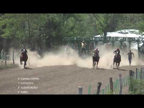 PISTA HIPICA LA ISLA VILLA SAN ISIDRO