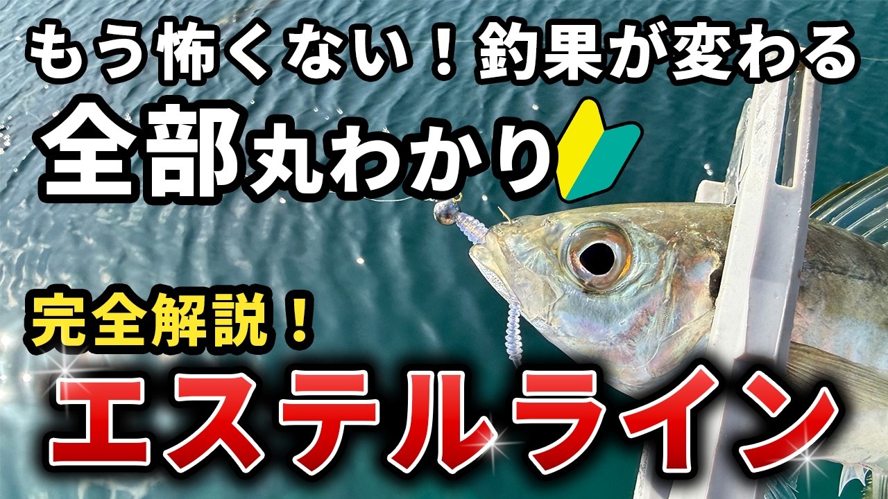 【アジング・トラウト】エステルラインの切れない使い方・選び方完全ガイド。基礎からコツまで徹底解説