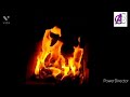 Bone Fire/winter night /status video