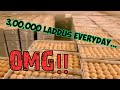 Tirumala Tirupati Balaji Laddu Making Documentary In Hindi Inside Tirumala Laddu Kitchen