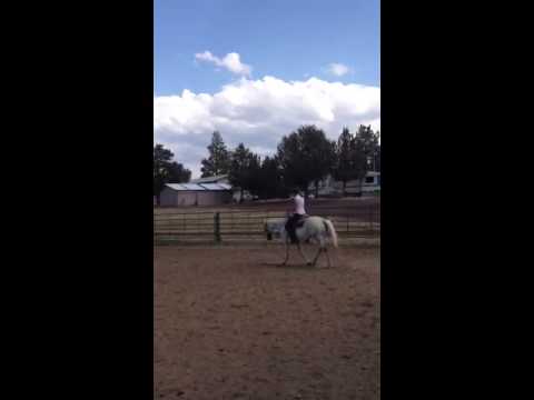 Stephanie in neck reining - Les Vogt Clinic
