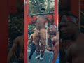 Clean Pull-up | #Shorts | #Pullups