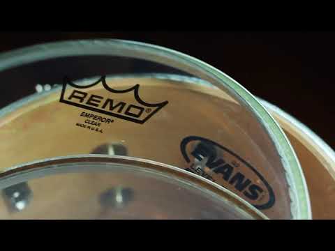 Compare aquarian vs evans vs remo