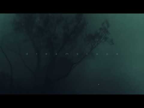 Leadwave - Moments (1hour)