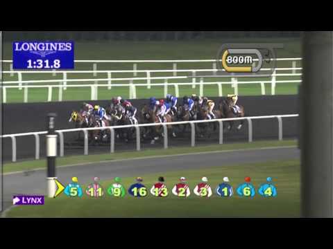 16.02.2013 Meydan (Dubai-UAE) 6.Race Al Basti Equiworld Hygain Trophy - 2.200 m