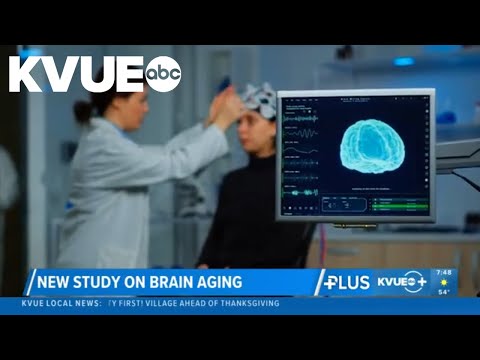 New study shows human brain has 4 'turning points'