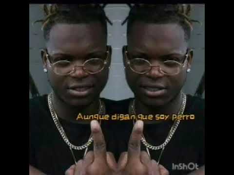 Aunque digan que soy perro - El de Moda