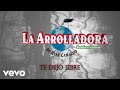 La Arrolladora Banda El Limón De René Camacho - Te Dejo Libre (Lyric Video)
